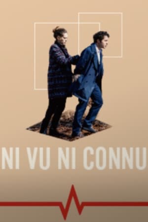 Poster Ni vu ni connu 2015