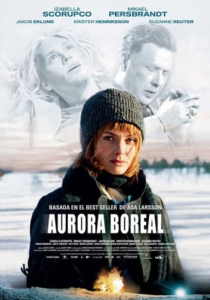 Poster Aurora boreal 2007