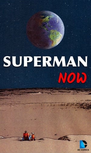 Poster Superman Now 2011