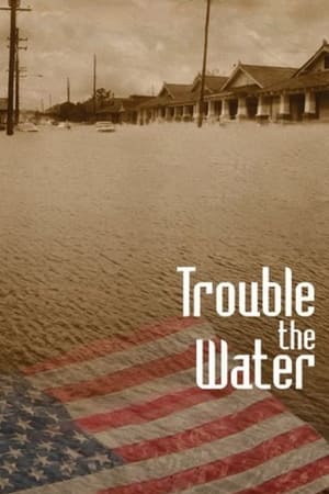 Poster Trouble the Water 2008