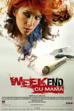 Poster Weekend z matką 2009