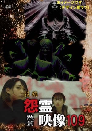 Poster Posted Grudge Spirit Footage Vol.109: Silent Chapter 2024
