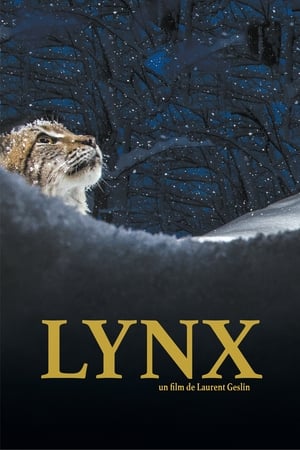 Poster Lynx 2021