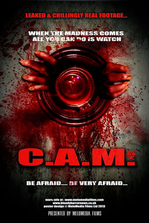 Poster C.A.M. 2021