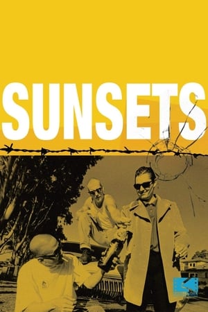 Poster Sunsets 1997