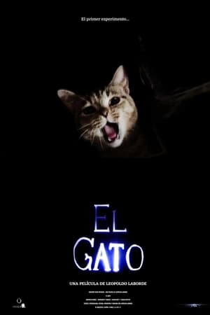 Image El gato