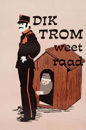 Poster Dik Trom weet raad 1976
