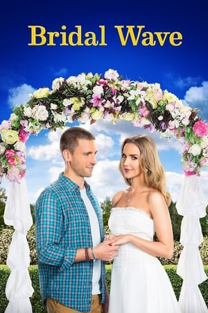 Poster Dos novios y una boda 2015