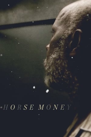 Poster Horse Money 2014
