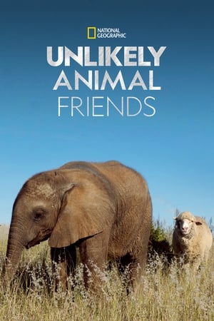 Poster Unlikely Animal Friends Séria 4 Epizóda 4 2016