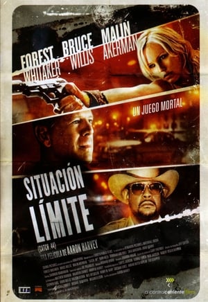 Poster Situación límite 2011
