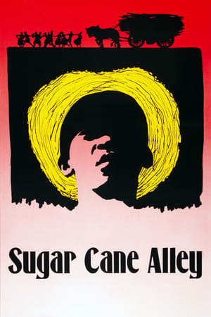 Image Sugar Cane Alley