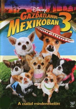 Poster Gazdátlanul Mexikóban 3 2012