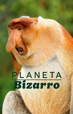 Poster Absurd Planet 2020