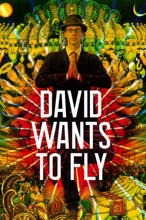 Poster David Wants to Fly 2010