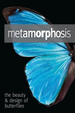 Poster Metamorphosis: The Design and Beauty of Butterflies 2011