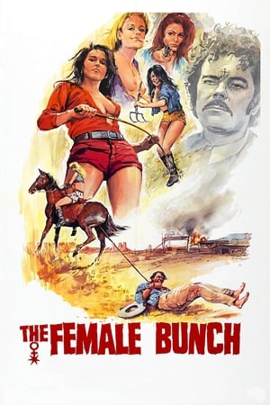 Poster The Female Bunch 1971