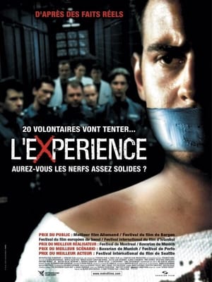 Poster L'Expérience 2001