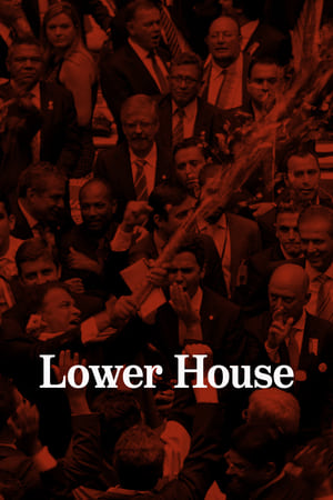 Image Lower House