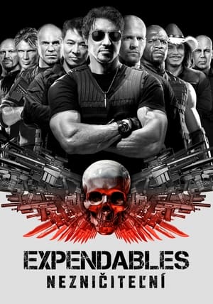 Poster Expendables: Nezničiteľní 2010