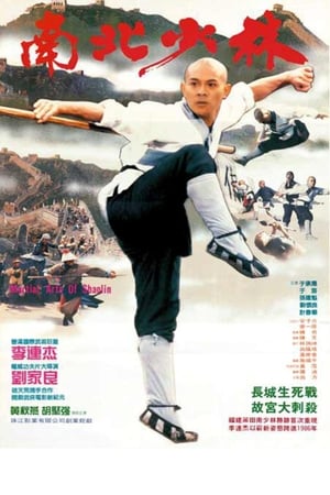 Poster Bojová umění Shaolinu 1986