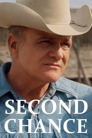 Poster Second Chance 1972