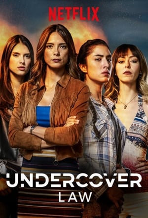 Poster Undercover Law 1ος κύκλος Επεισόδιο 27 2018