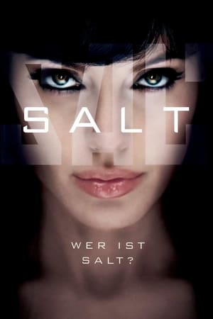 Poster Salt 2010