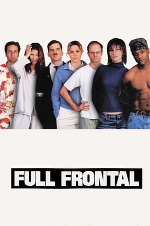 Poster Voll frontal 2002