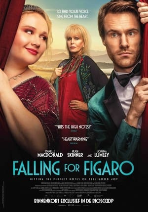 Image Falling for Figaro