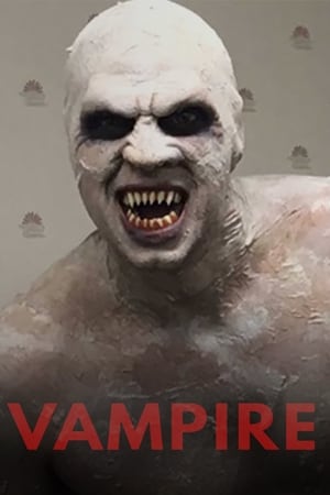 Poster Vampire 2017