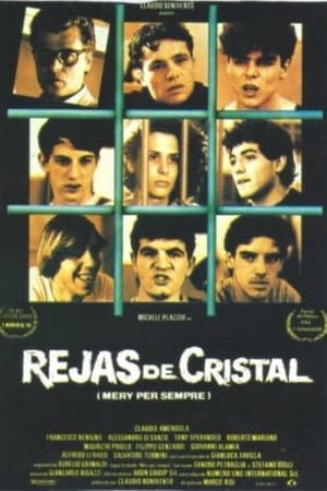 Poster Rejas de cristal 1989