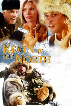 Poster Kevin ze severu 2001