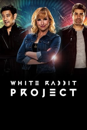 Poster White Rabbit Project 2016