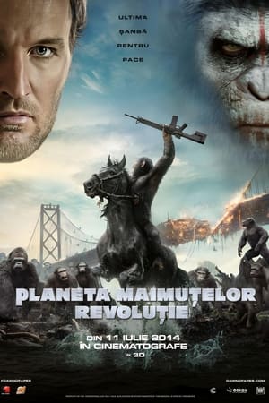Poster Planeta Maimuțelor: Revoluție 2014