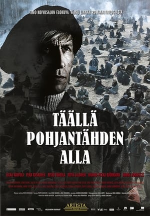 Poster Täällä Pohjantähden alla 2009
