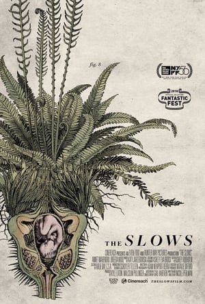 Poster The Slows 2018