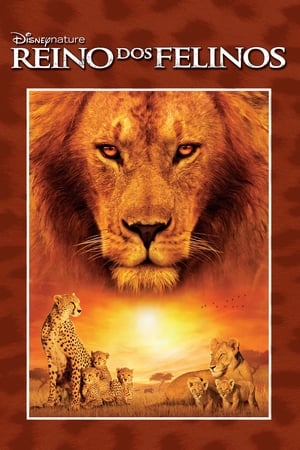 Poster Reino dos Felinos 2011
