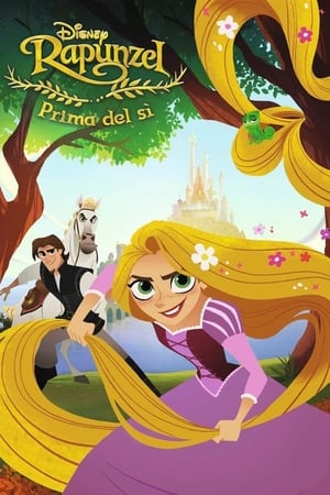 Poster Rapunzel - Prima del sì 2017