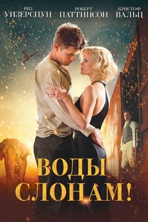 Poster Воды слонам! 2011
