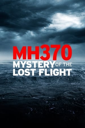 Image MH370: Mystery of the Lost Flight