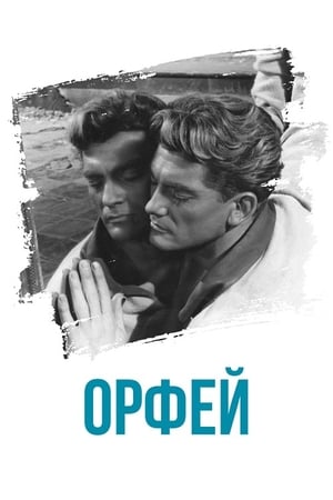 Poster Орфей 1950