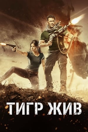 Poster Тигр жив 2017