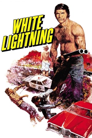 Poster White Lightning 1973