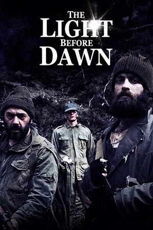 Poster The Light Before Dawn 2010