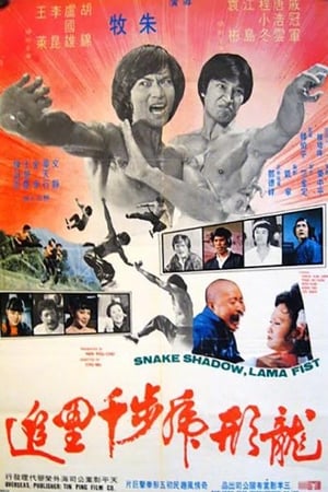 Poster 龍形虎步千里追 1979