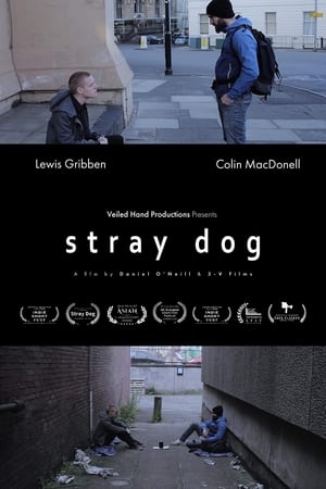 Poster Stray Dog 2020
