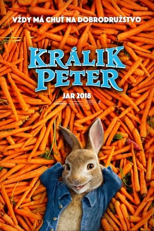 Poster Králik Peter 2018