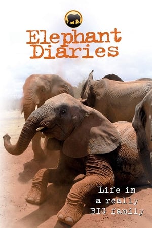 Poster Elephant Diaries 2005