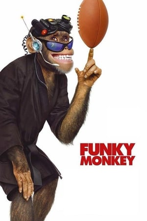 Poster Funky Monkey 2004